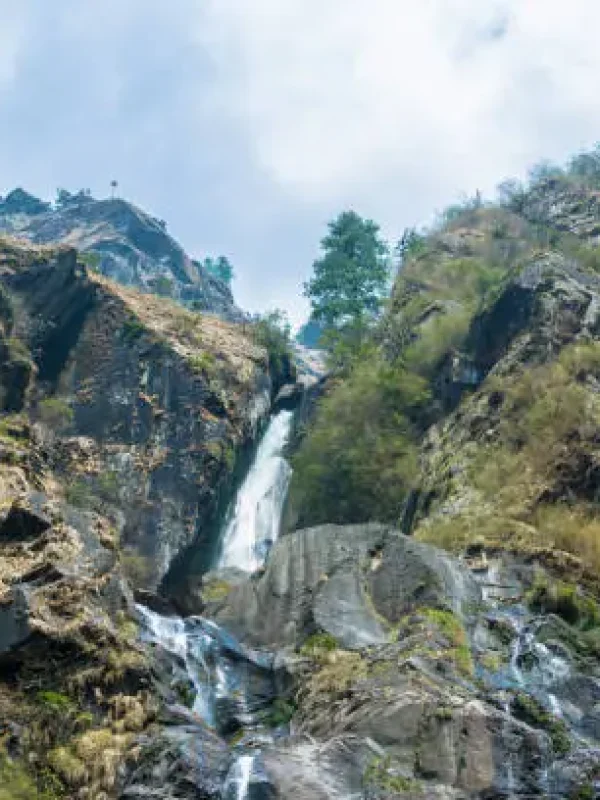 Char Dham Yatra Group Tour 2024 (8N/9D)