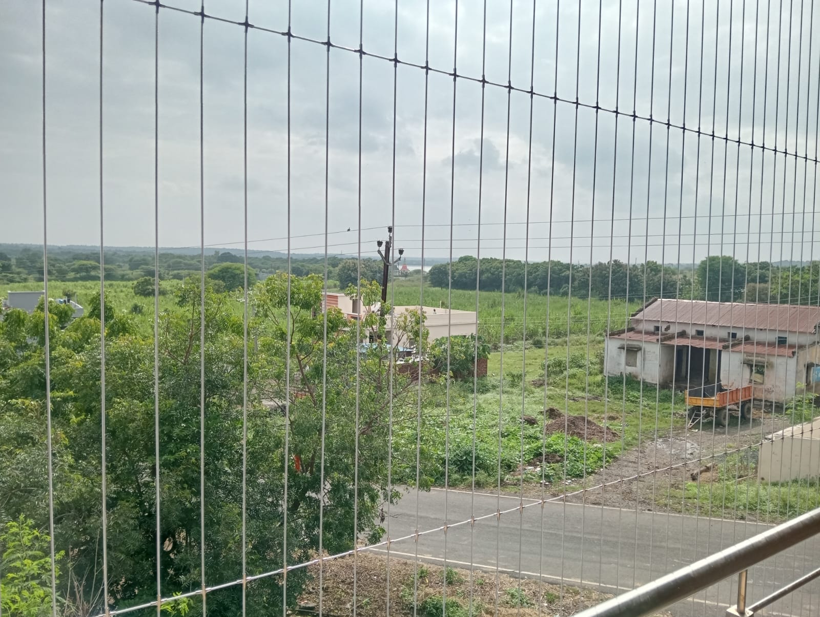 Pigeon Control Net Installation
