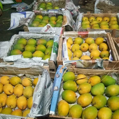 Farmer Support & Ethical Business Model