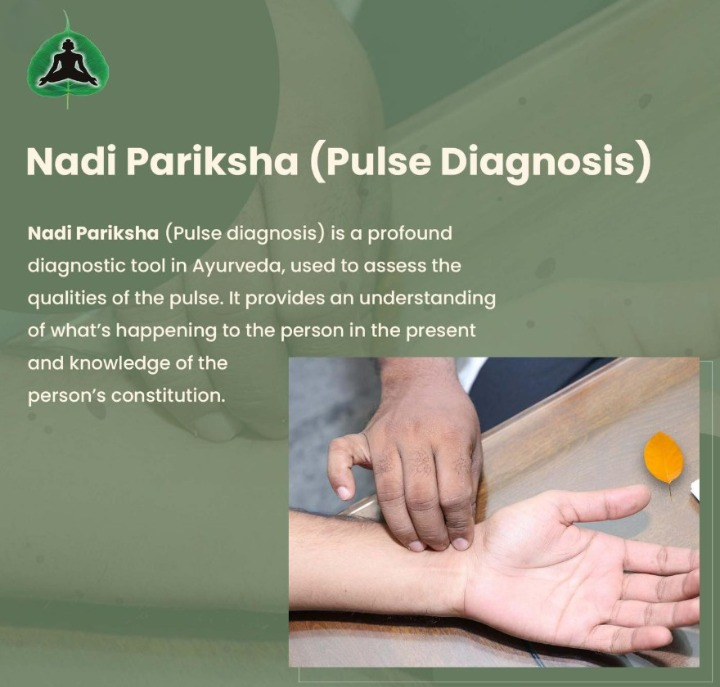 🌿 Ayurvedic Diagnosis & Nadi Pariksha
