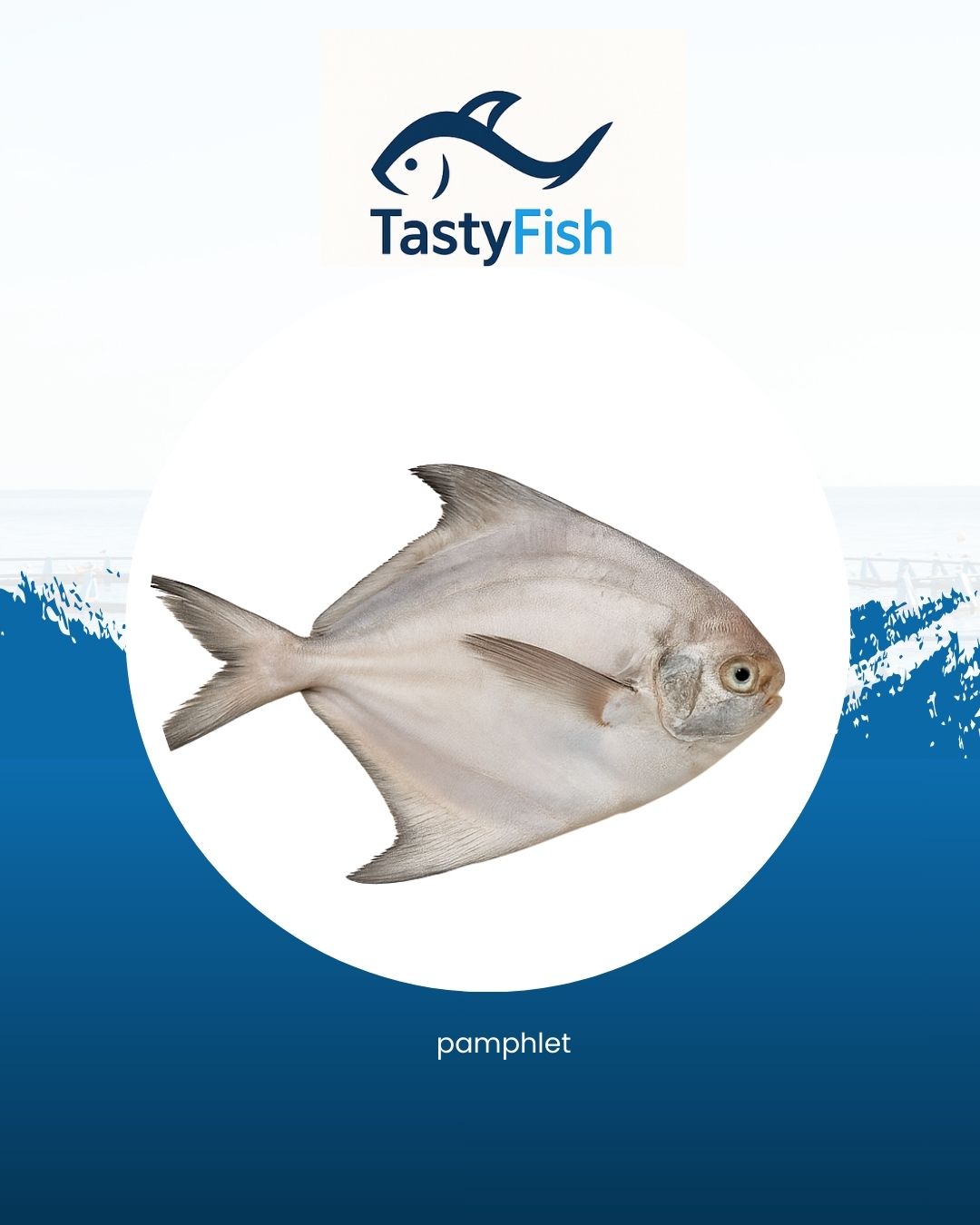 Pomfret