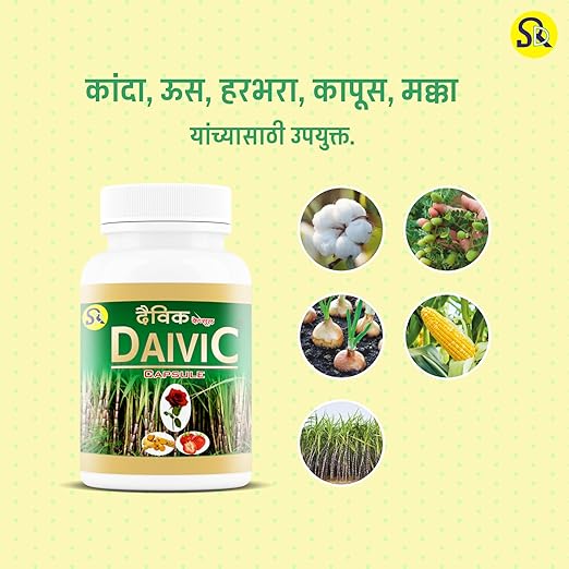Daivic Capsule
